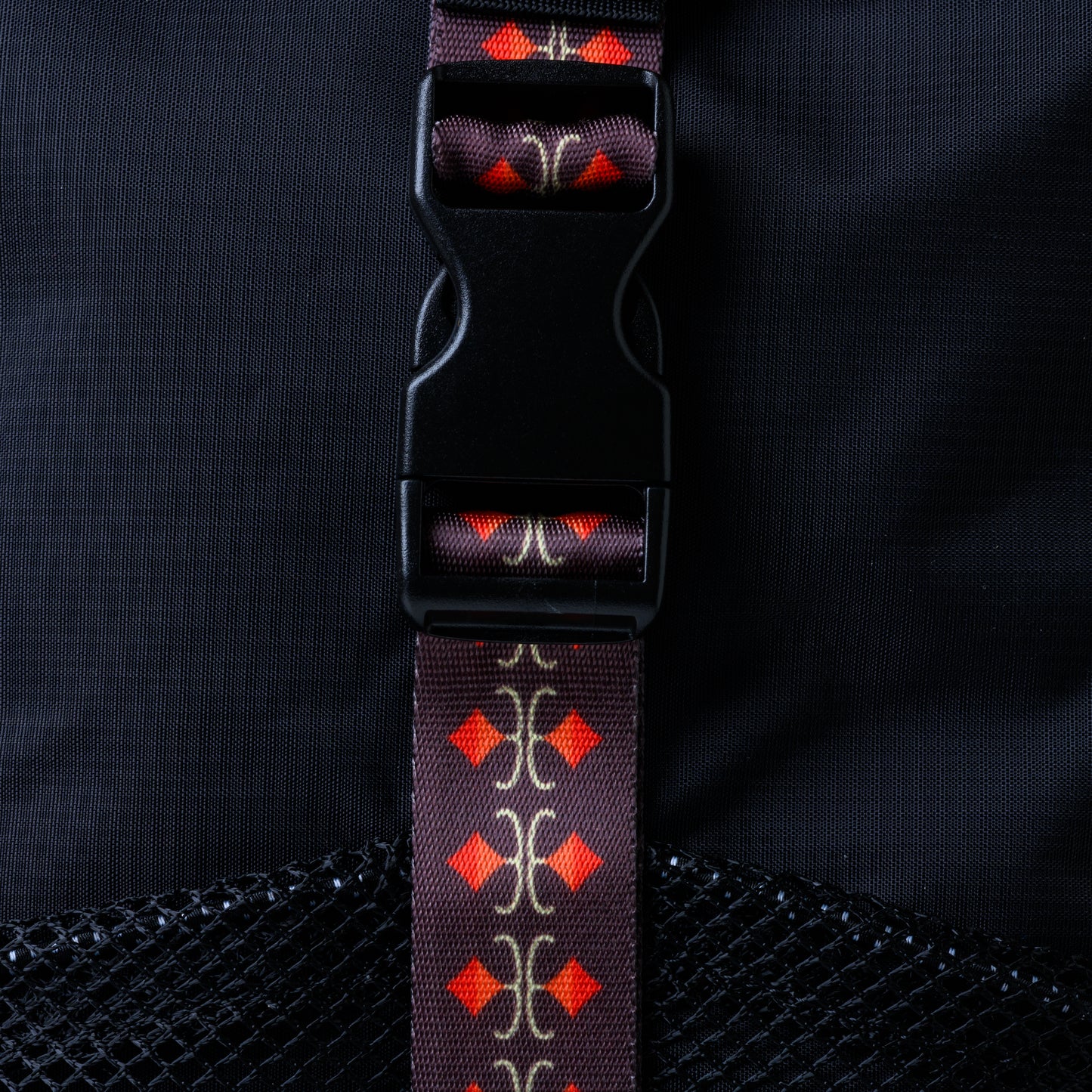 PINNESHIRI 01
