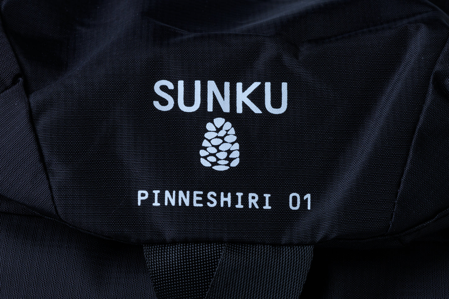 PINNESHIRI 01