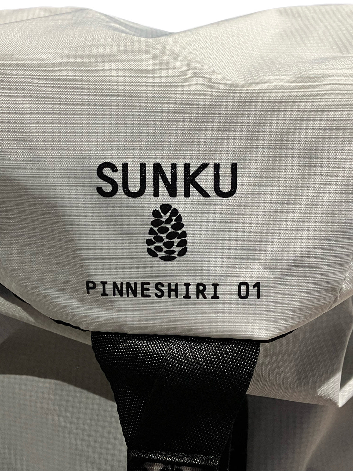 PINNESHIRI 01